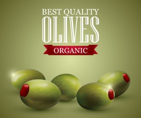 Quality organic olives vector graphics 01