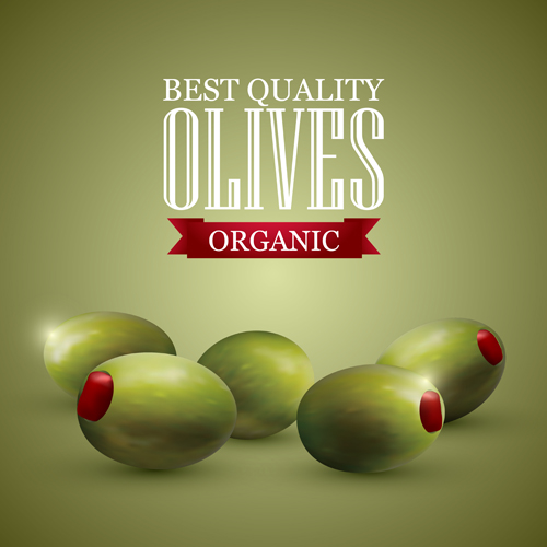 Quality organic olives vector graphics 01