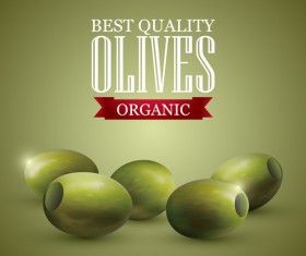 Quality organic olives vector graphics 02