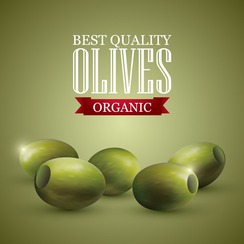 Quality organic olives vector graphics 02
