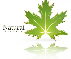 Shiny green leaf with nature logo vector 03