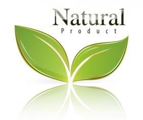 Shiny green leaf with nature logo vector 05