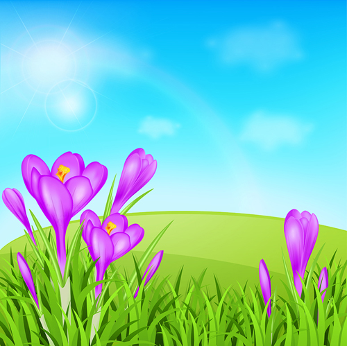 Spring background with purple flower vector 02