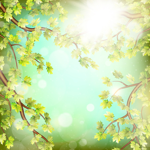 Spring green leaves with sunlight background vector 04