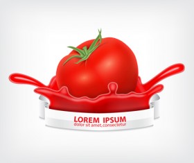 Tomato splashes vector material