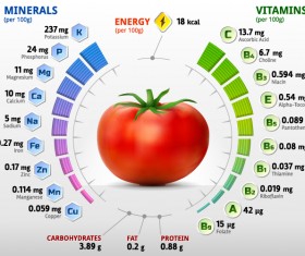 Tomato vitamins infographics vector