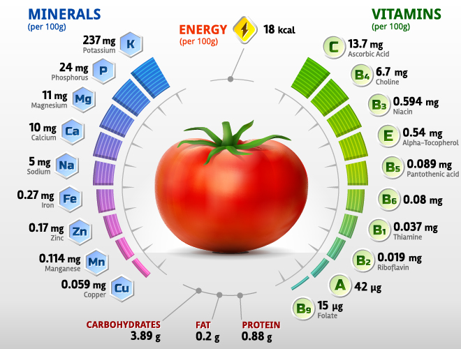 Tomato vitamins infographics vector