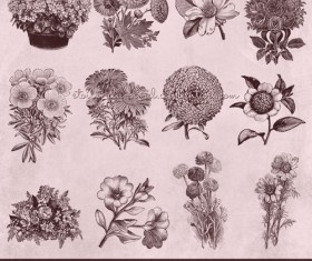 Various vintage flowers brushes