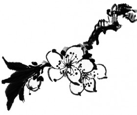 Watercolor flower Photoshop Brushes