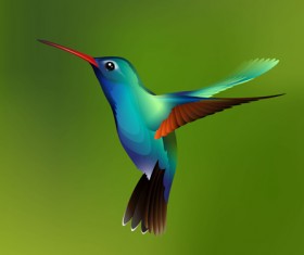 Watercolor hummingbird vector