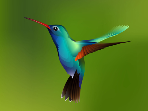 Download Watercolor hummingbird vector free download