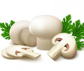 White champignon and parsley leaves vector