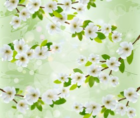 White flower with gree spring background vector