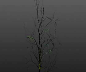 Withered tree photoshop brushes