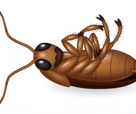 cartoon insect vector