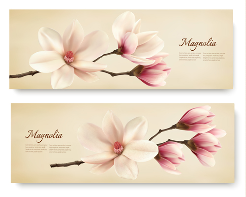 white magnolia with spring banners vector