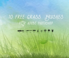 10 Kind Grass Photoshop Brushes