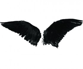 2 Kind wing photoshop brushes