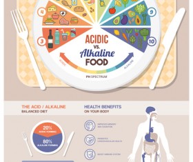 Acidic alkaline diet infographic vector 01
