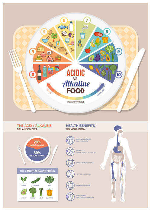 Acidic alkaline diet infographic vector 01