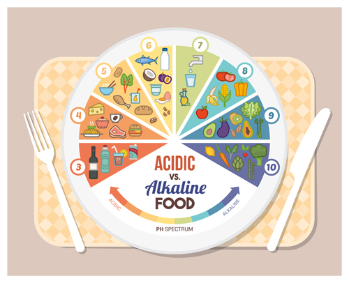 Acidic alkaline diet infographic vector 02