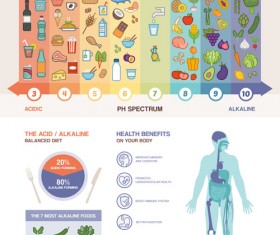 Acidic alkaline diet infographic vector 03