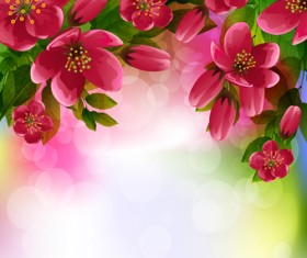 Beautiful red flower vector background 07