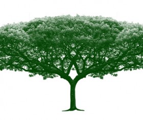 Big tree photoshop brushes