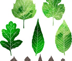 Black leaves and green leaves vector