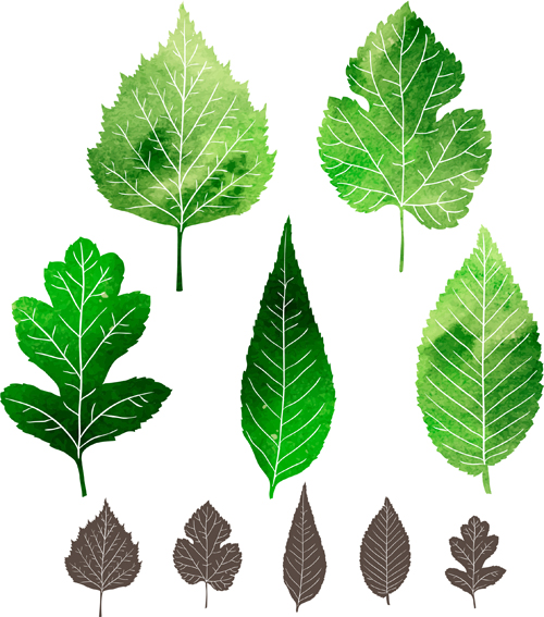 Black leaves and green leaves vector