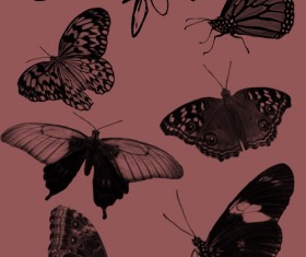 Butterfly Brushes Set