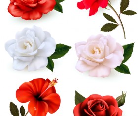 Colorful flowers illustration vector