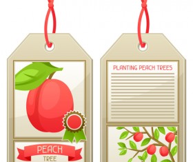 Creative fruit tags vector design 02