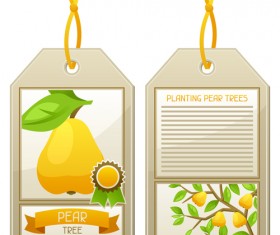 Creative fruit tags vector design 03