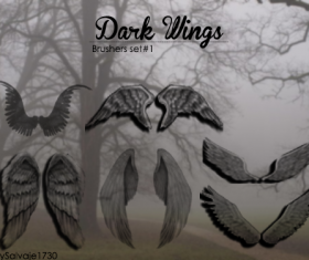 Dark Wings Photoshop brushes