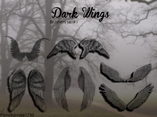Dark Wings Photoshop brushes