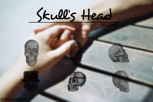 Different Skull Heads Photoshop Brushes