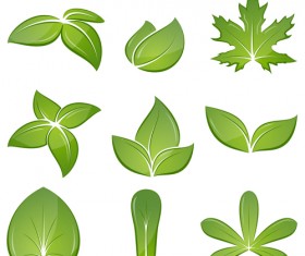 Different green leaves vector set 01