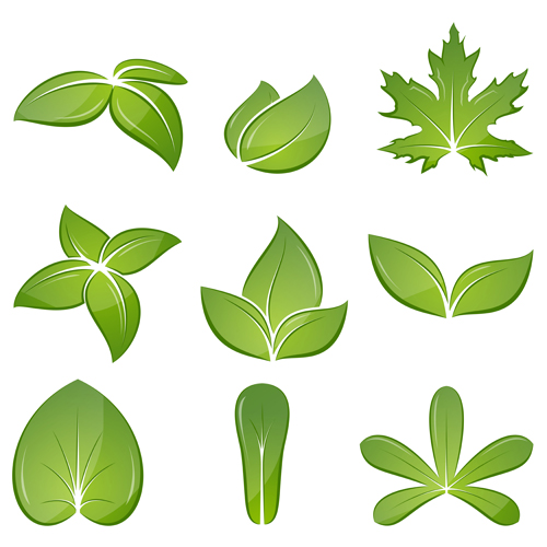 Different green leaves vector set 01