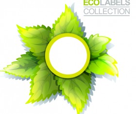 Eco labels with green leaves vector 01