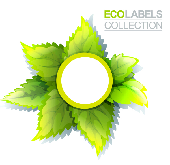 Eco labels with green leaves vector 01