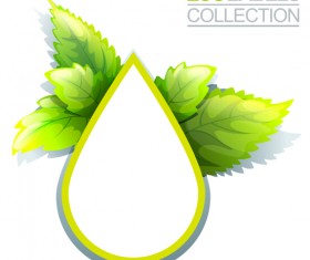 Eco labels with green leaves vector 02