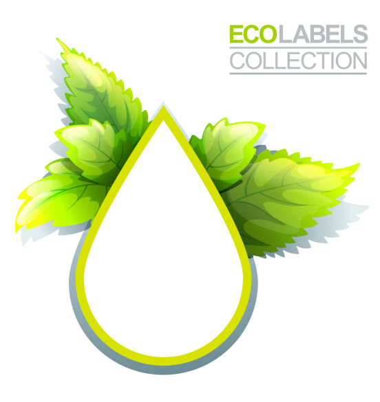 Eco labels with green leaves vector 02