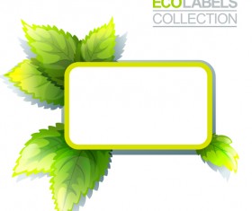 Eco labels with green leaves vector 04
