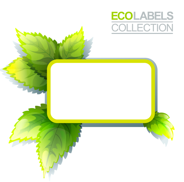 Eco labels with green leaves vector 04