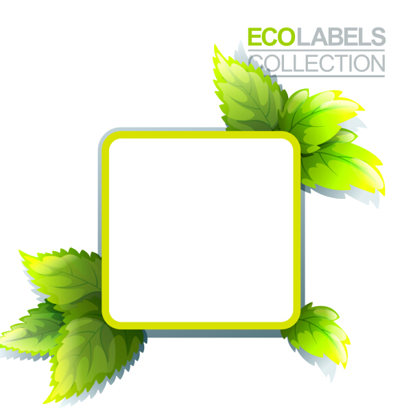 Eco labels with green leaves vector 05
