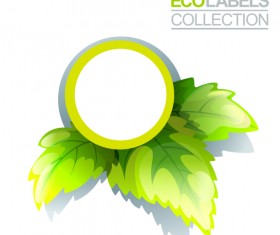 Eco labels with green leaves vector 06