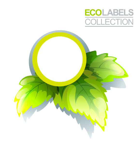 Eco labels with green leaves vector 06