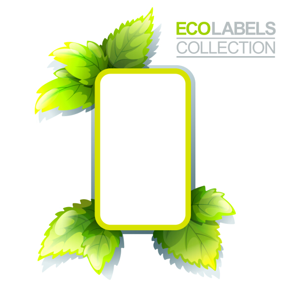Eco labels with green leaves vector 07