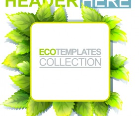 Eco labels with green leaves vector 08